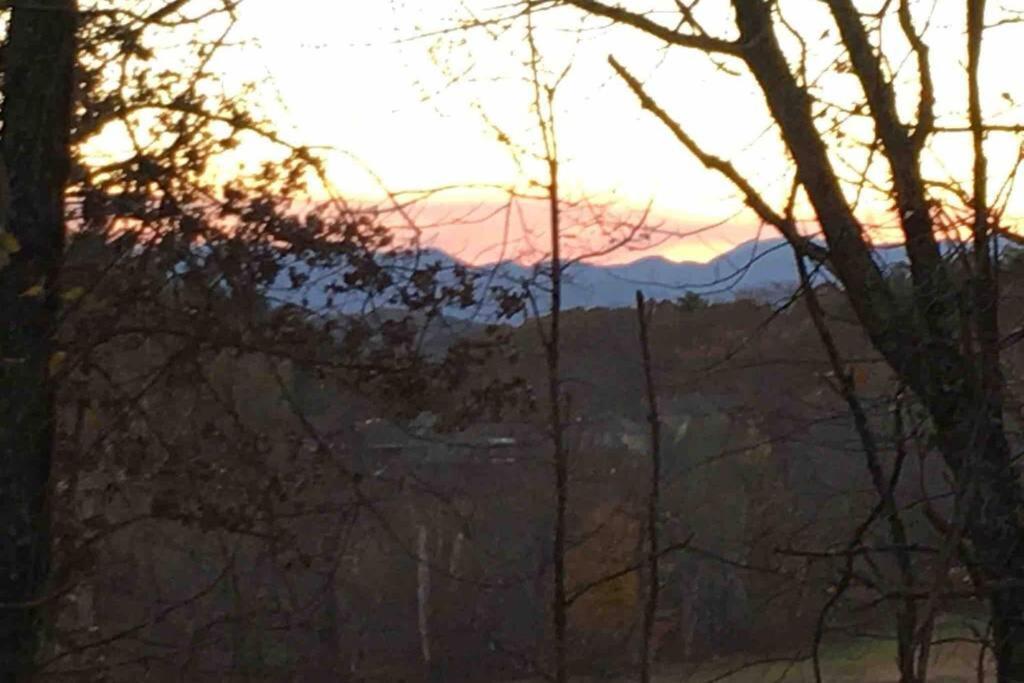 Serenity Views Comfort - Close To City & Parkway! Weaverville Ngoại thất bức ảnh