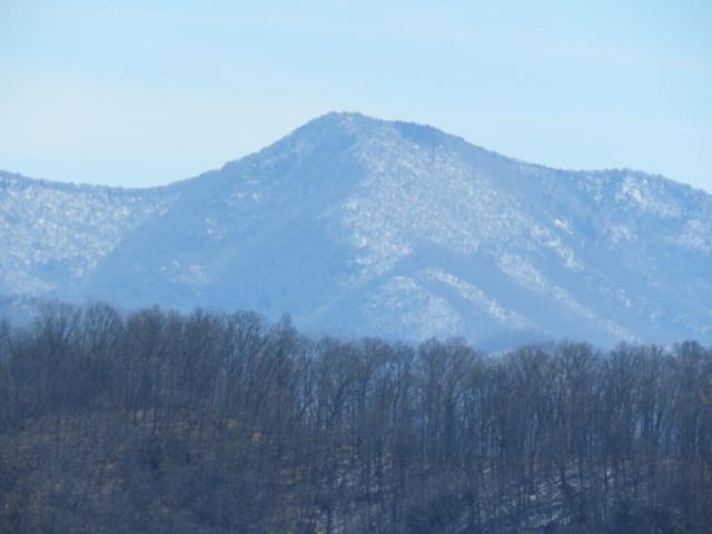 Serenity Views Comfort - Close To City & Parkway! Weaverville Ngoại thất bức ảnh